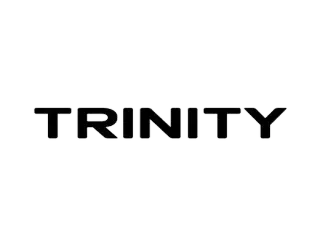 TRINITY REAL ESTATE BROKERS L.L.C
