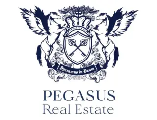 Pegasus Real Estate LLC