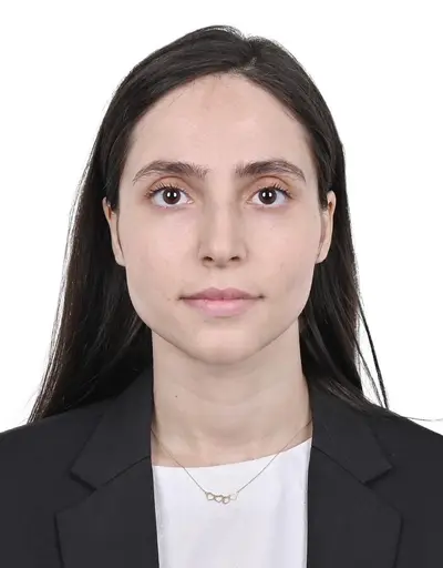Hanieh Farokh Kosarzadeh