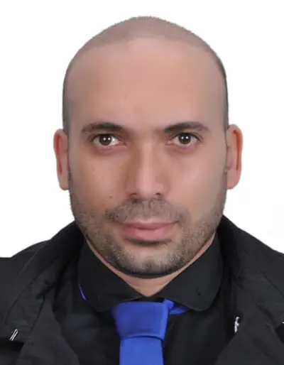 Ali Malek Mroue