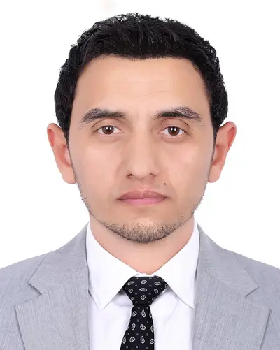 Hossameldin Salah Ahmed Gaber