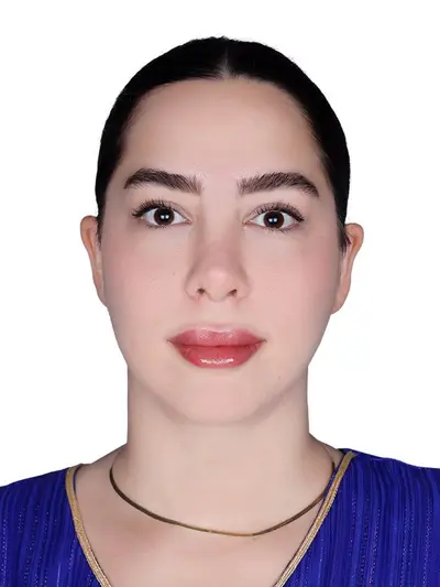 Aysan Hassan Heidari Arallouyebozorg