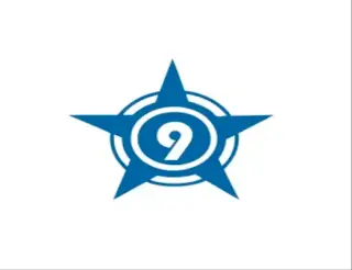 Nine Star Properties L.L.C