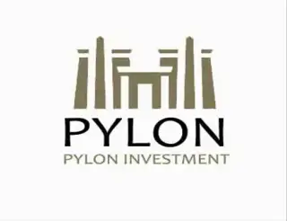 Pylon investment