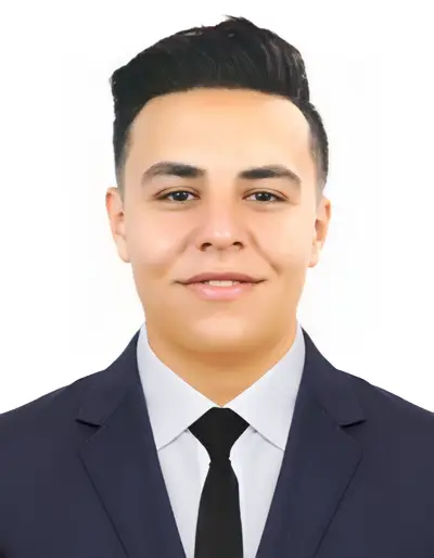 Mahmoud Rabie Mohamed Ibrahim Elsonboukhty