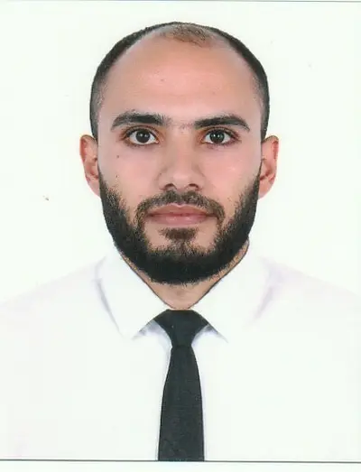 Talaat Hamza Mahmoud Mohamed Elsharkawy