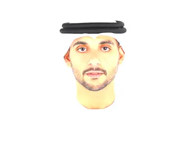 Saeed Ali Saeed Alfalahi