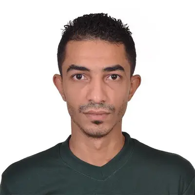 Mohamed Alaaeldin Abdelaziz  Aly  