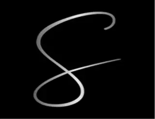 SILVER SPRINGS PROPERTIES L.L.C