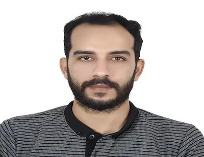Hassan mansour