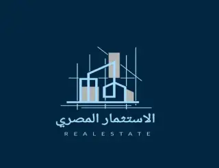 الاستثمار المصري