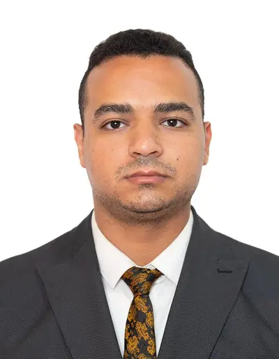 Ahmed Mohamed Emadeldeen Hassan Abdelwahed