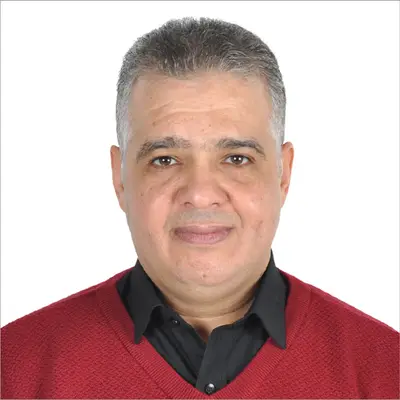 Alaa Fathi Abdelaziz Mohamed Khalifa